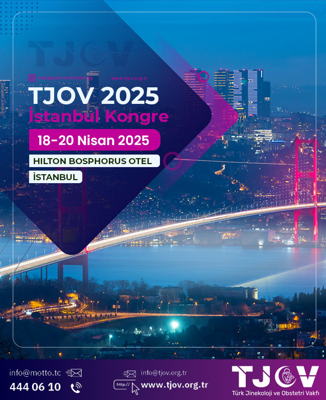  Tjov 2025 İstanbul Kongresi